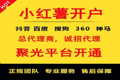 百度推广与SEO结合的营销策略案例分享